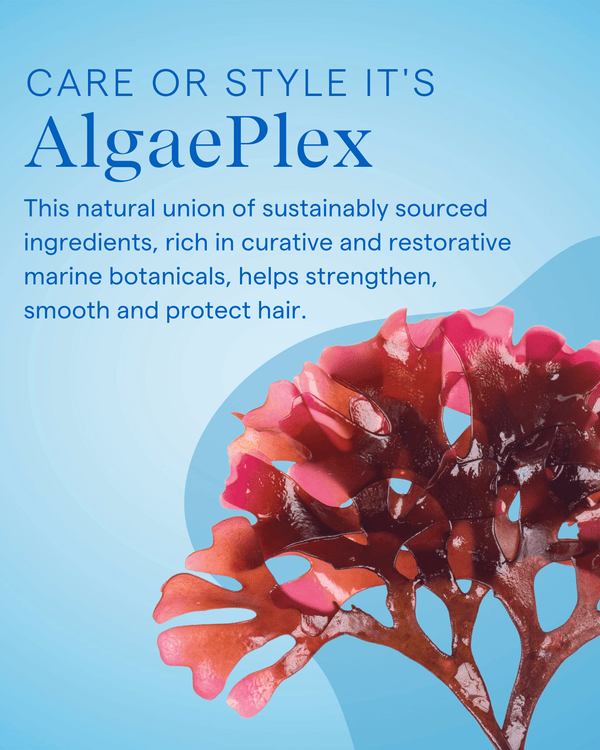 Strengthening Conditioner